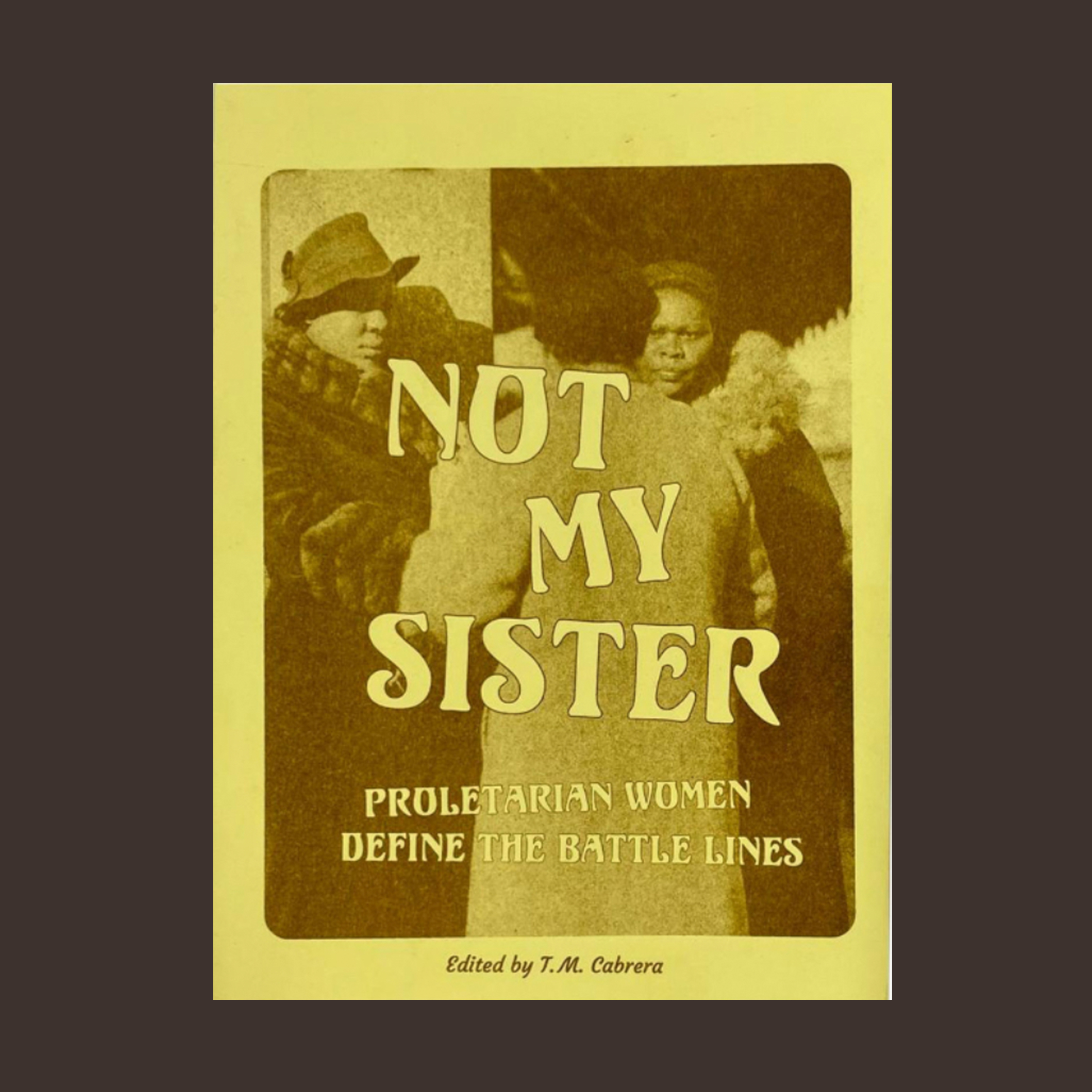Not My Sister - Proletarian Women Define the Battle Lines slide 3 of 2